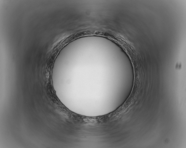 X0000091061302200708060951