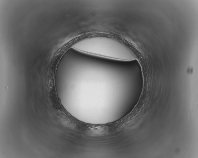 X0000091061303200708060951