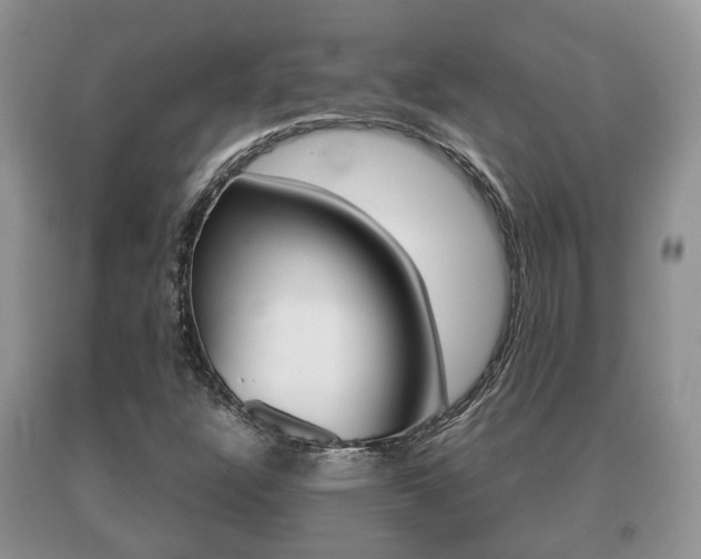 X0000091061304200708060951