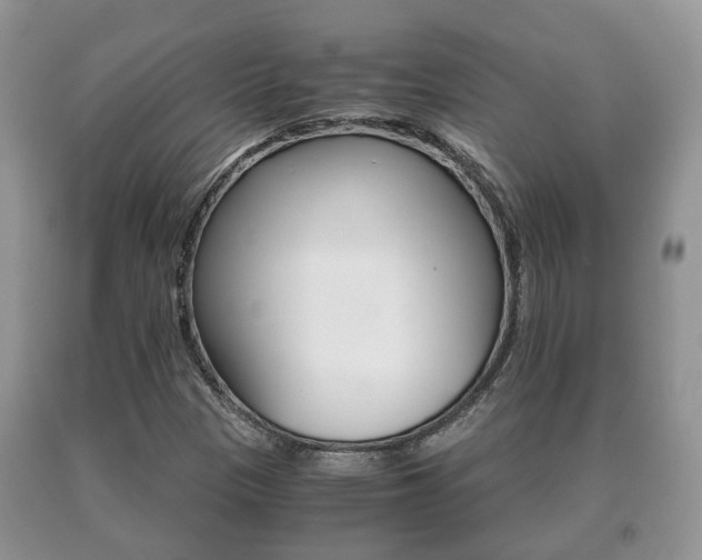 X0000091061305200708060951
