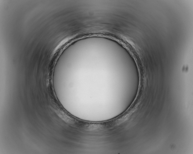 X0000091061306200708060951