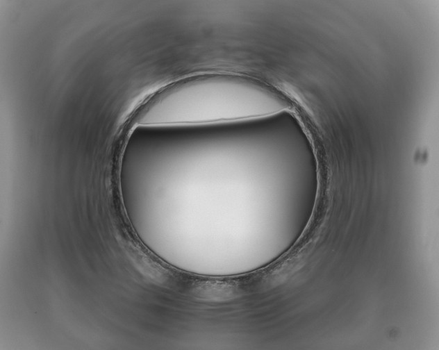 X0000091061307200708060951