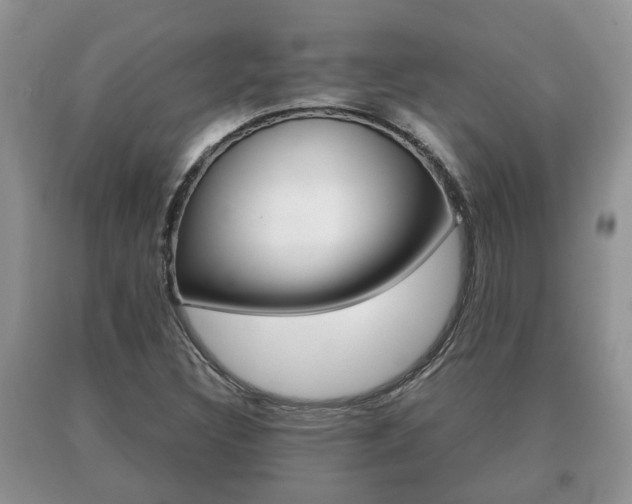 X0000091061308200708060951