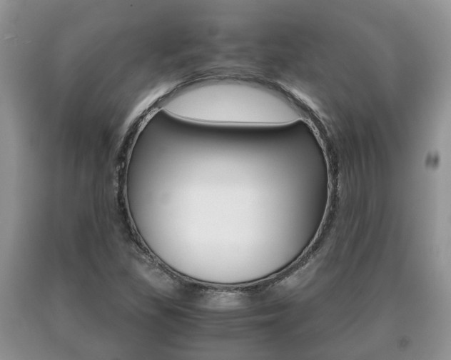 X0000091061309200708060951