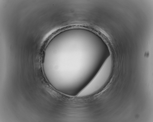 X0000091061310200708060951