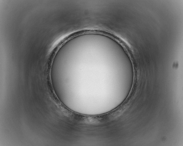 X0000091061311200708060951