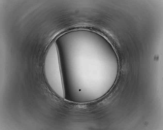 X0000091061313200708060951