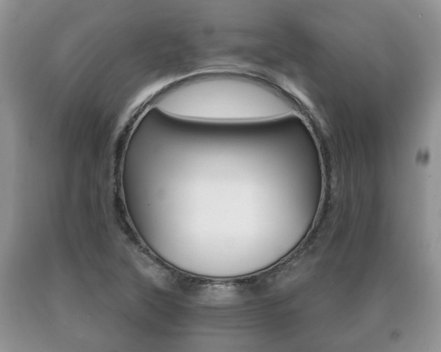 X0000091061315200708060951
