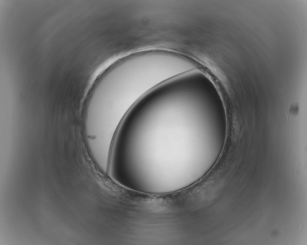 X0000091061316200708060951