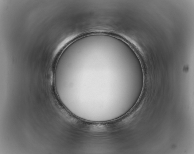 X0000091061317200708060951