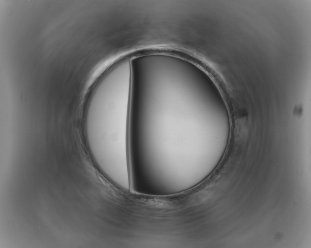 X0000091061319200708060951