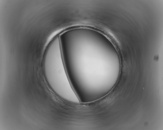 X0000091061320200708060951