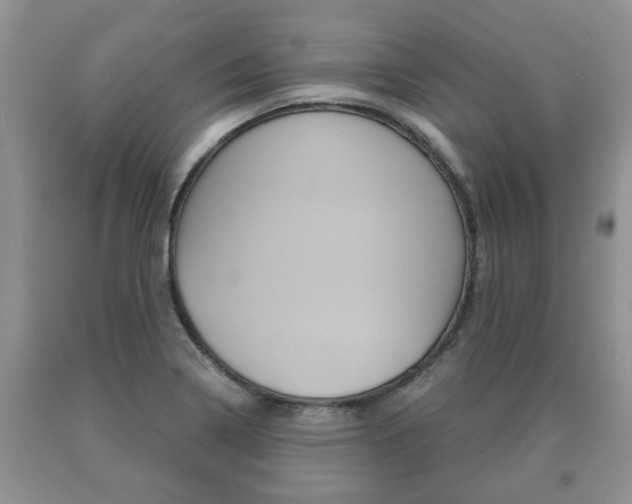 X0000091061322200708060951