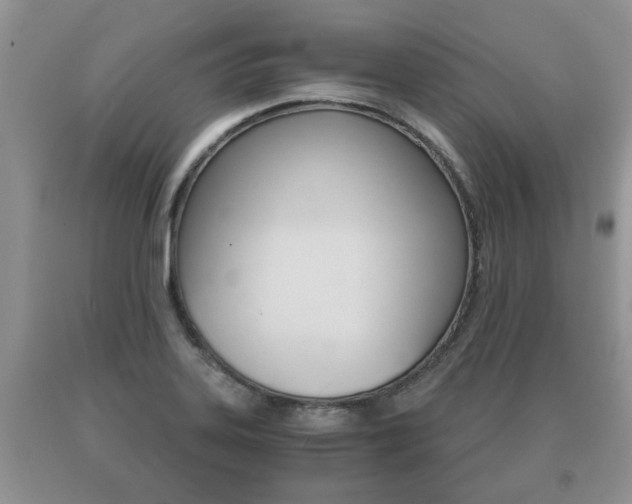 X0000091061323200708060951