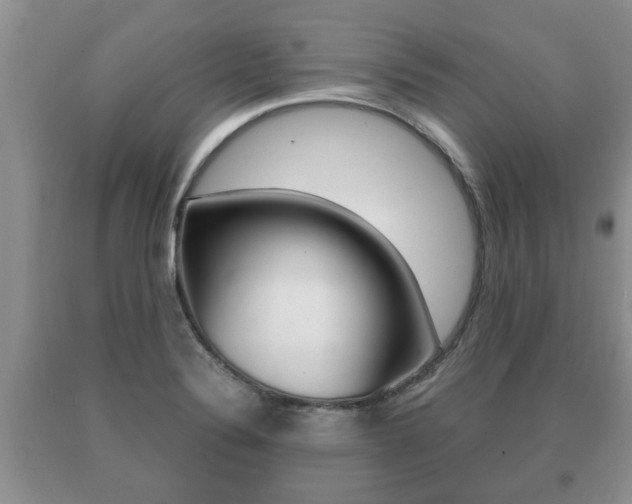 X0000091061324200708060951