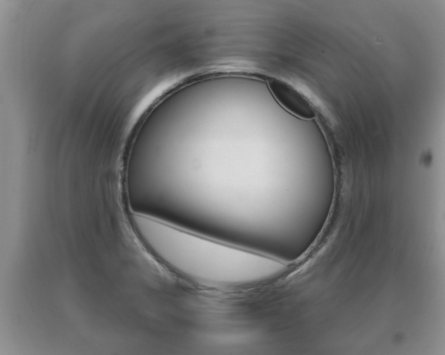 X0000091061325200708060951