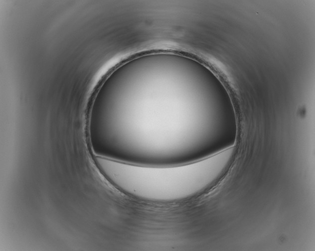 X0000091061326200708060951