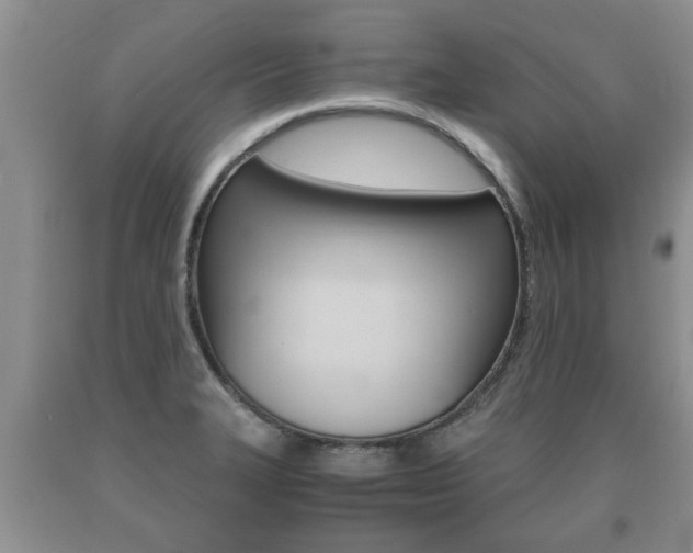 X0000091061327200708060951