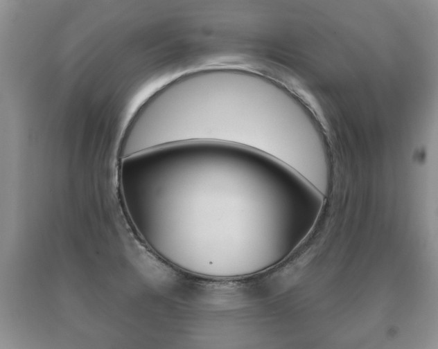 X0000091061328200708060951