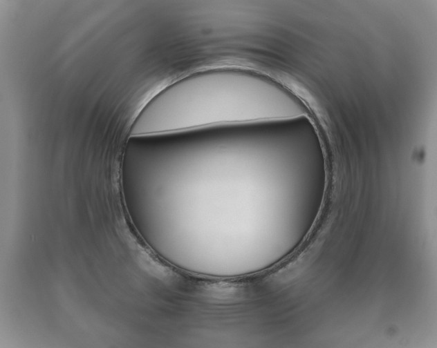 X0000091061329200708060951