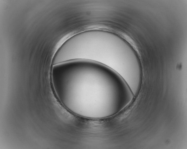 X0000091061330200708060951