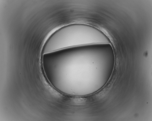 X0000091061331200708060951