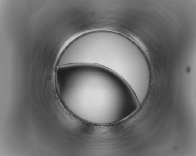 X0000091061332200708060951