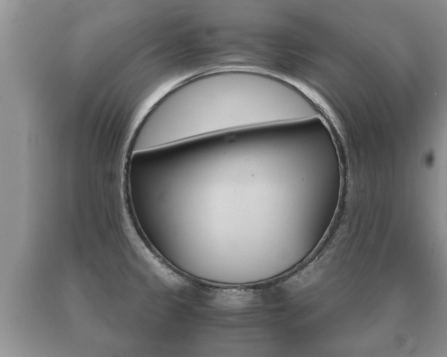 X0000091061333200708060951