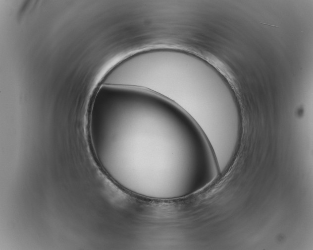 X0000091061334200708060951