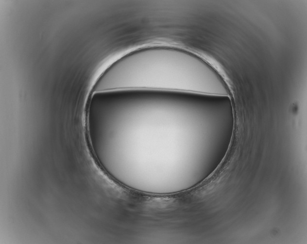 X0000091061335200708060951