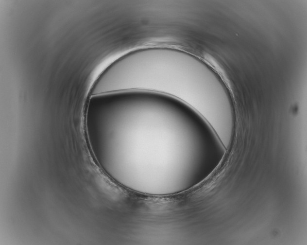 X0000091061336200708060951