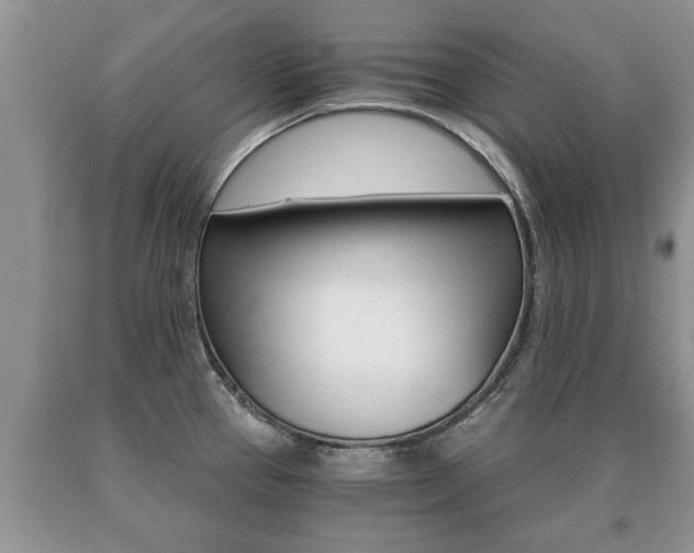 X0000091061337200708060951