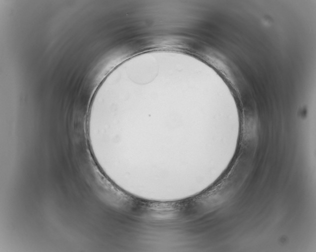 X0000091061338200708060951