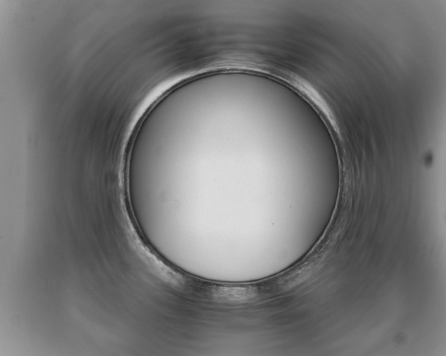 X0000091061339200708060951