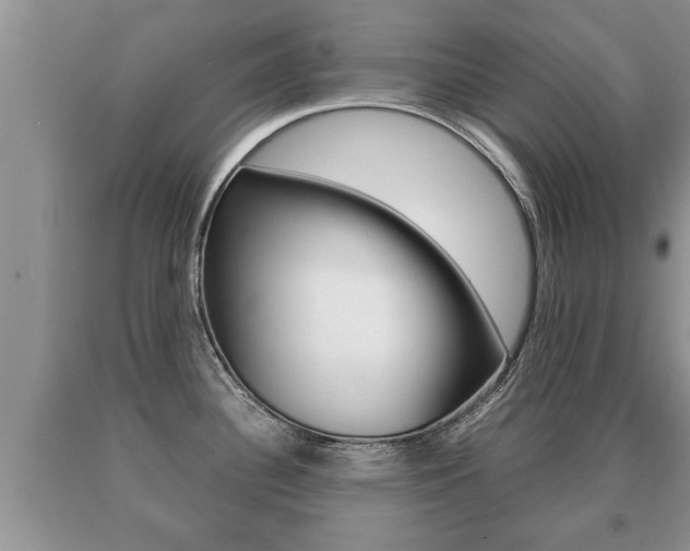 X0000091061340200708060951