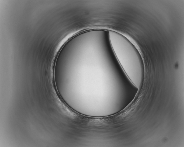 X0000091061341200708060951