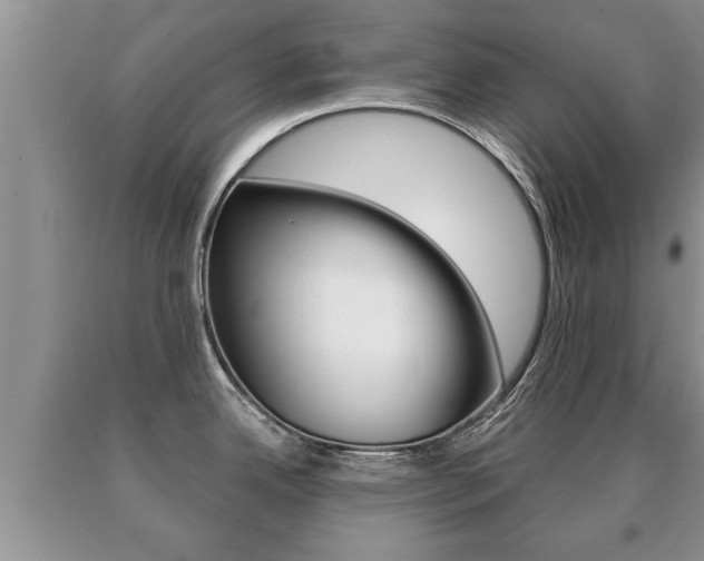 X0000091061342200708060951