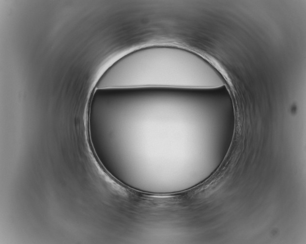 X0000091061343200708060951