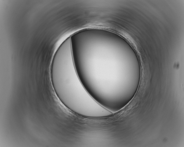 X0000091061344200708060951