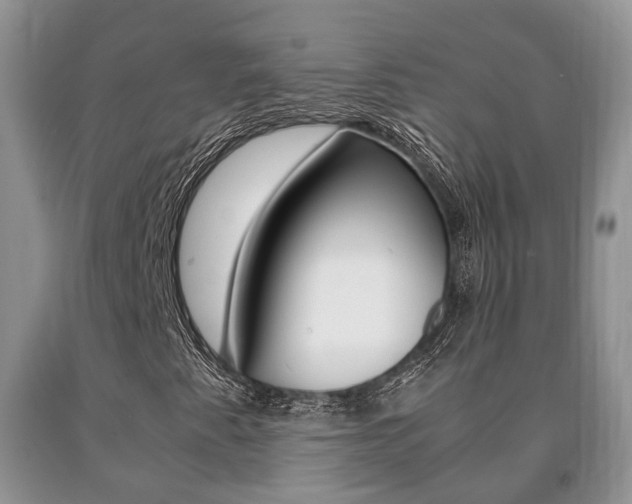 X0000091061345200708060950