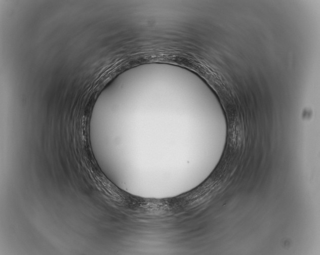 X0000091061346200708060950