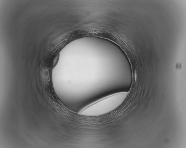X0000091061347200708060950