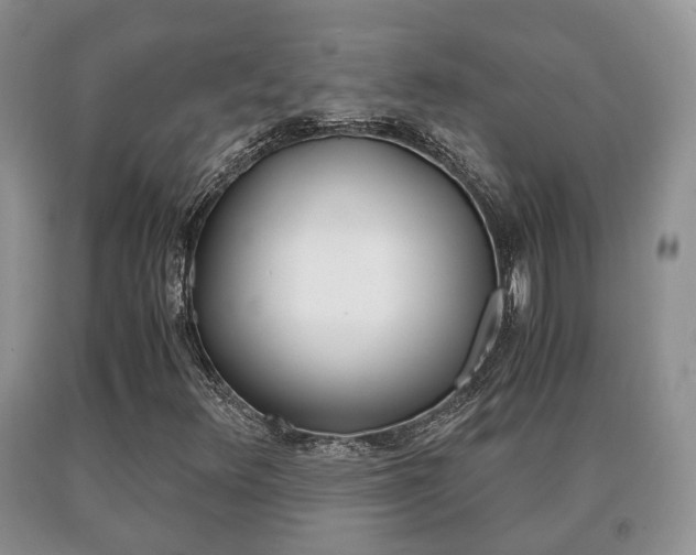 X0000091061348200708060950