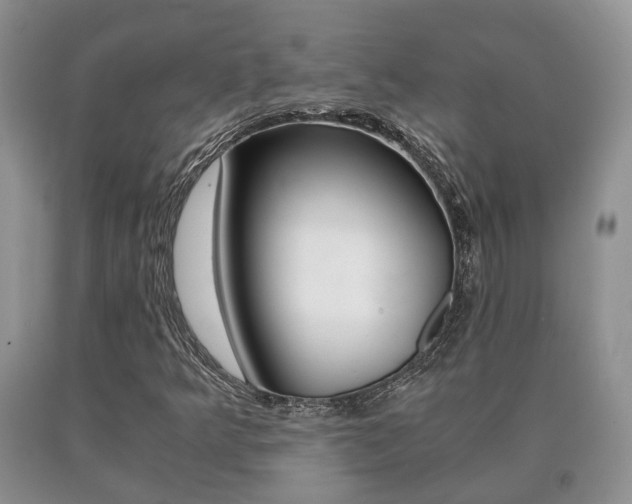 X0000091061349200708060950
