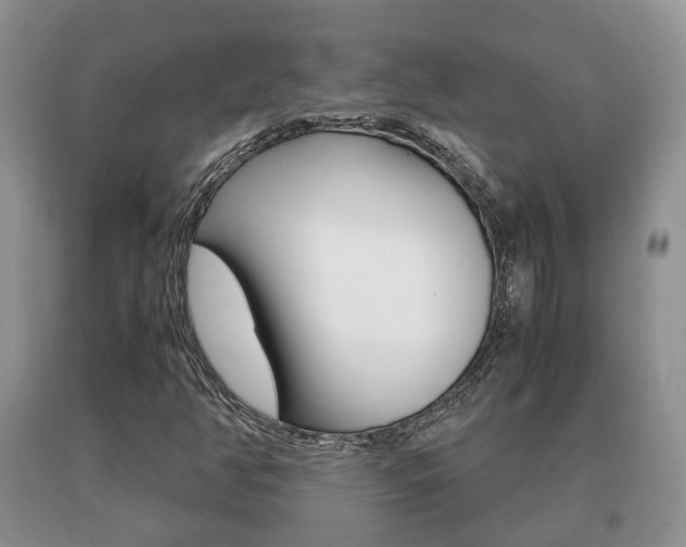 X0000091061350200708060950