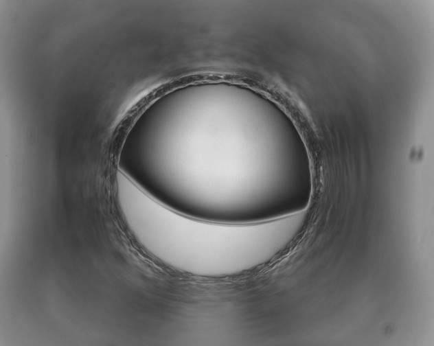 X0000091061352200708060950