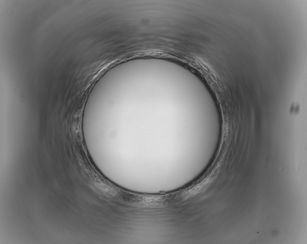 X0000091061353200708060950