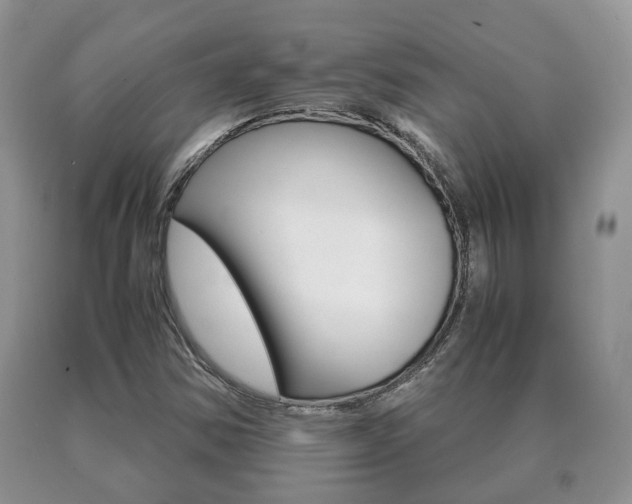X0000091061354200708060950
