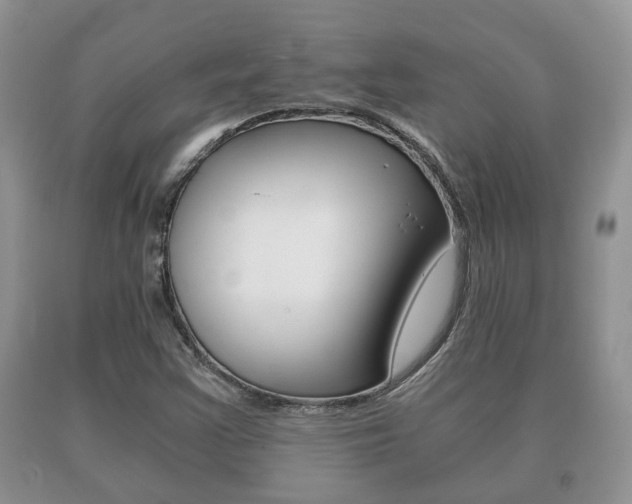 X0000091061355200708060950