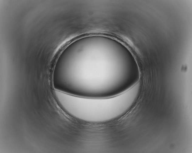 X0000091061356200708060950